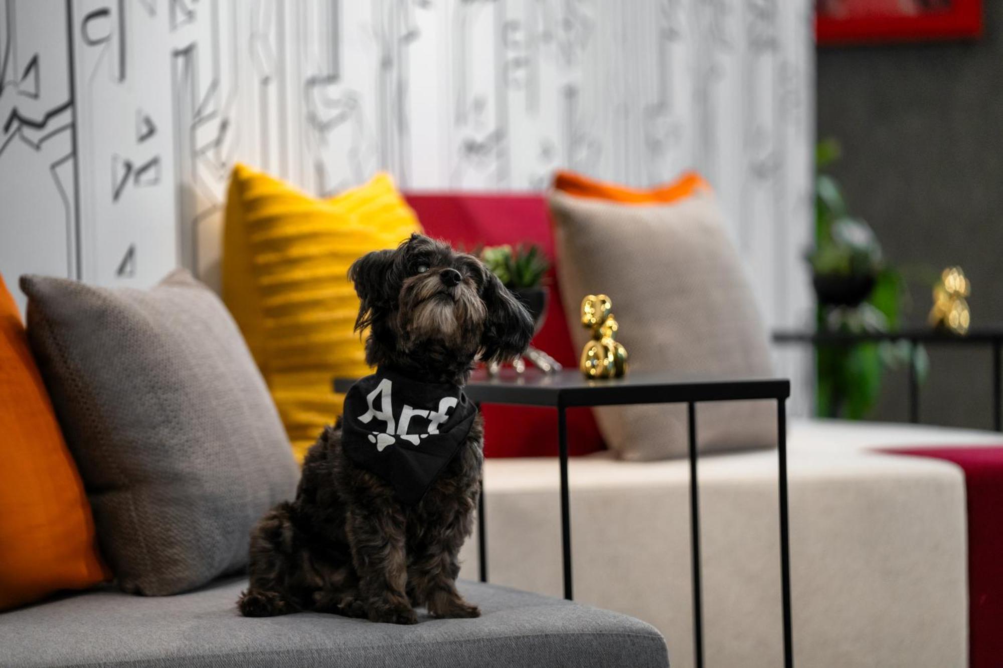 Aloft New York Chelsea Hotel ภายนอก รูปภาพ