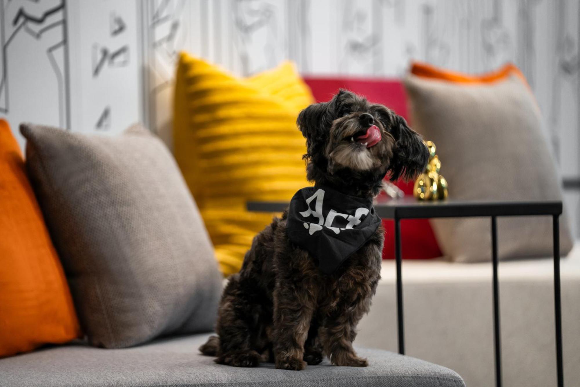 Aloft New York Chelsea Hotel ภายนอก รูปภาพ